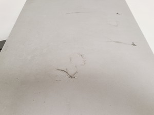 Thumbnail image of Bright Cryostat with 5030 Microtome