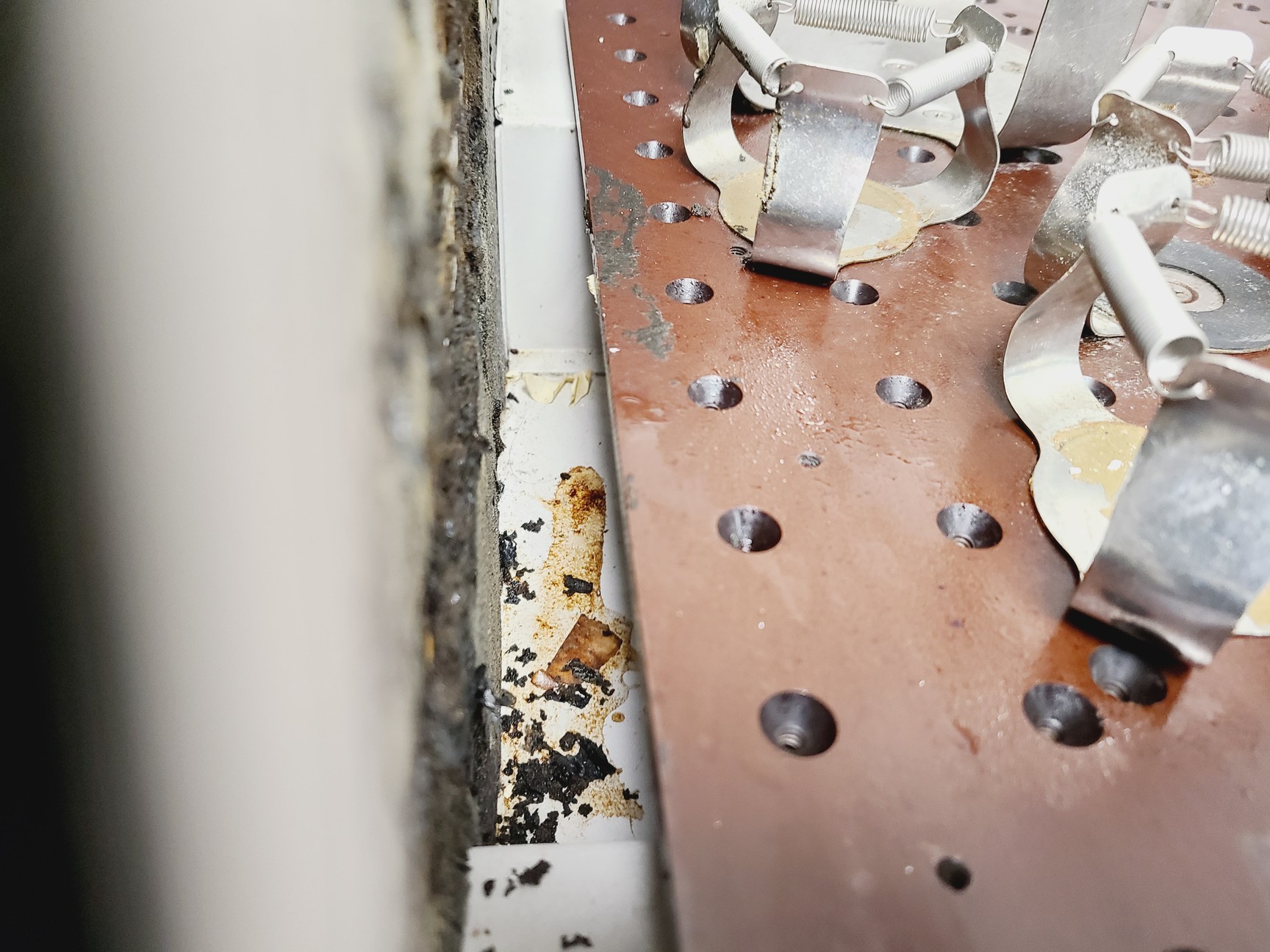 Image of New Brunswick Scientific Innova 4000 Shaking Incubator