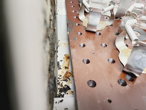 Thumbnail image of New Brunswick Scientific Innova 4000 Shaking Incubator