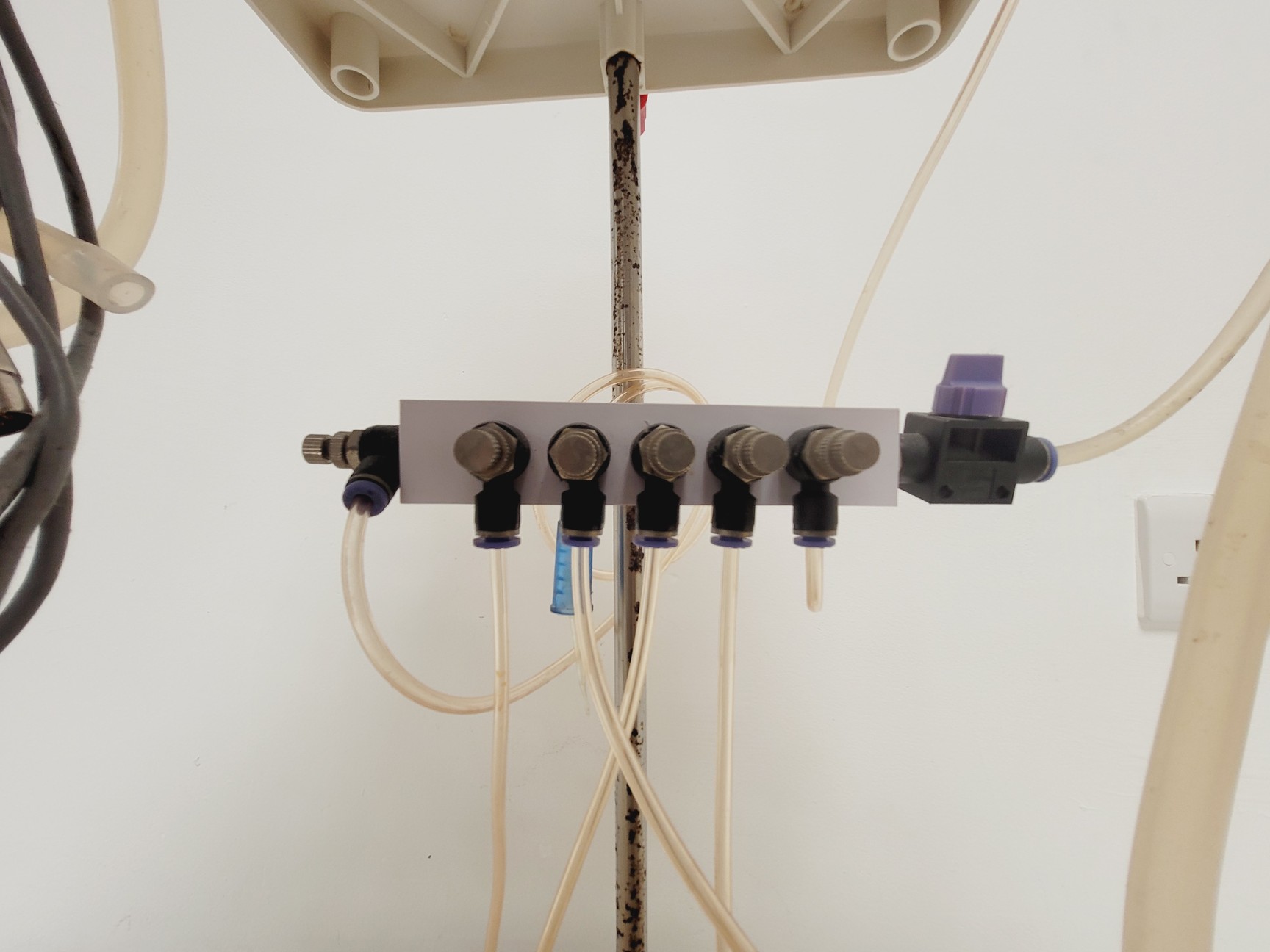 Image of Organ Bath Type Physiology Rig