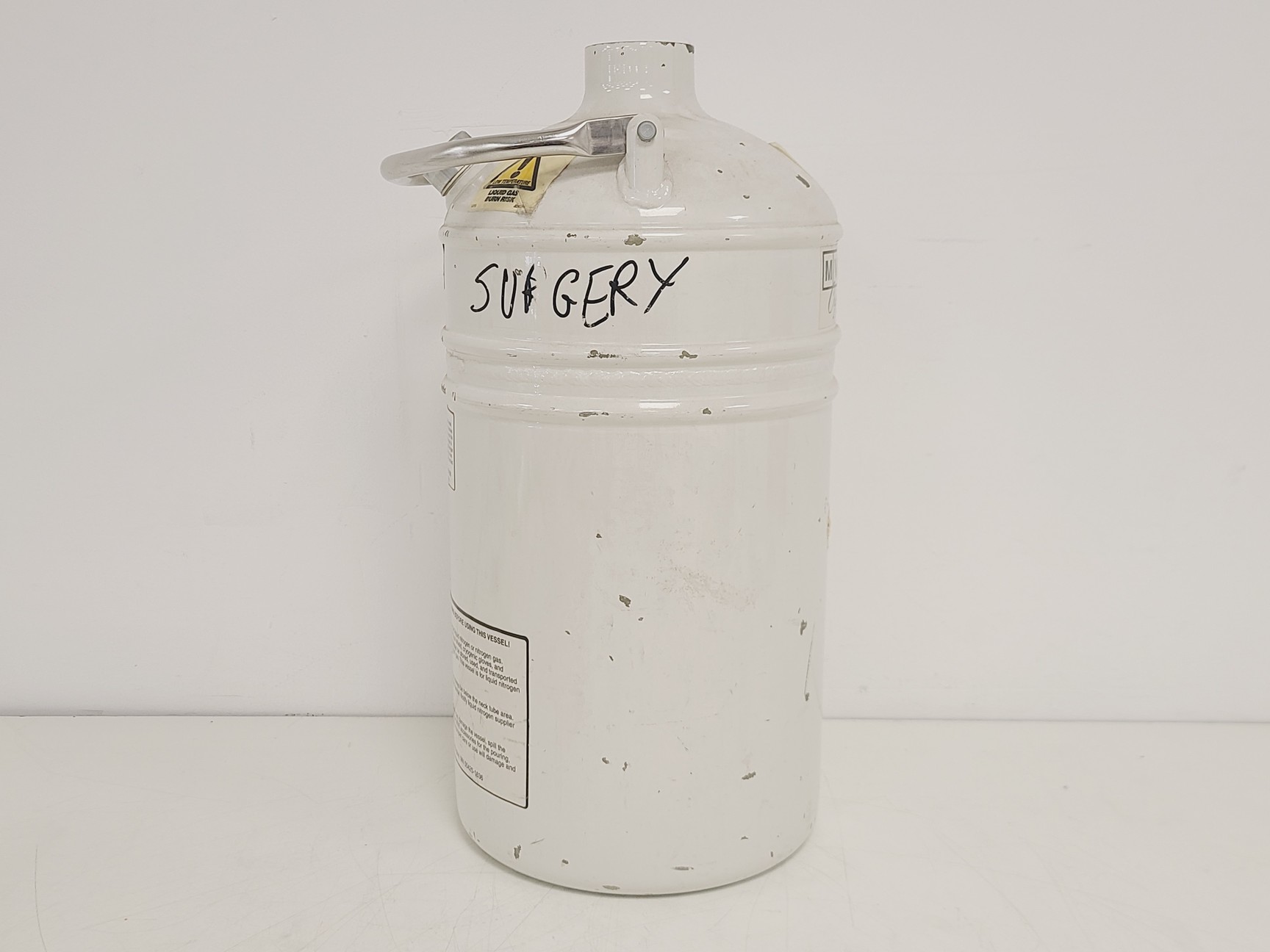 Image of MVE Lab 5 LN2 Liquid Nitrogen Storage Tank 22x22x46 cm