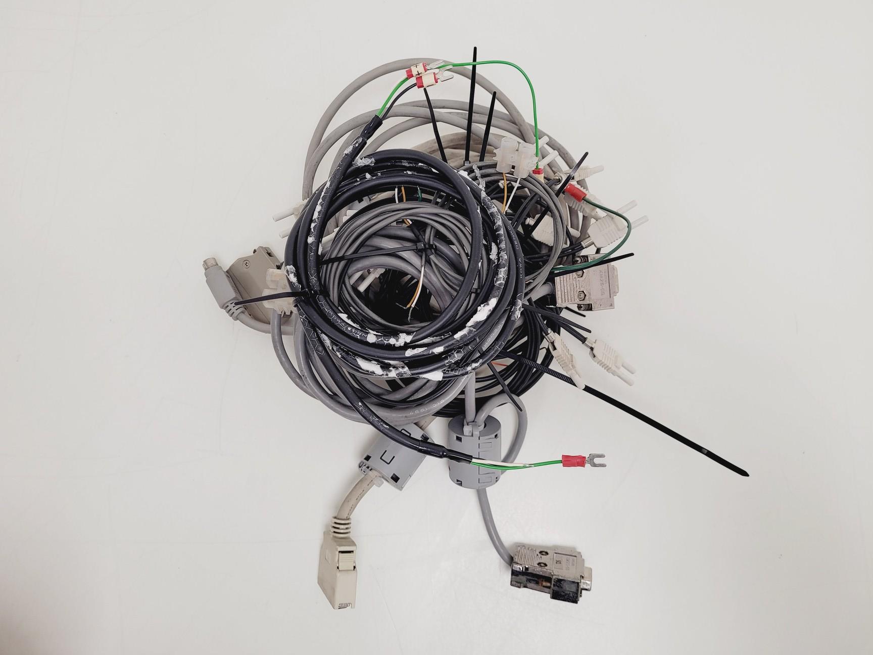 Image of Shimadazu HPLC System