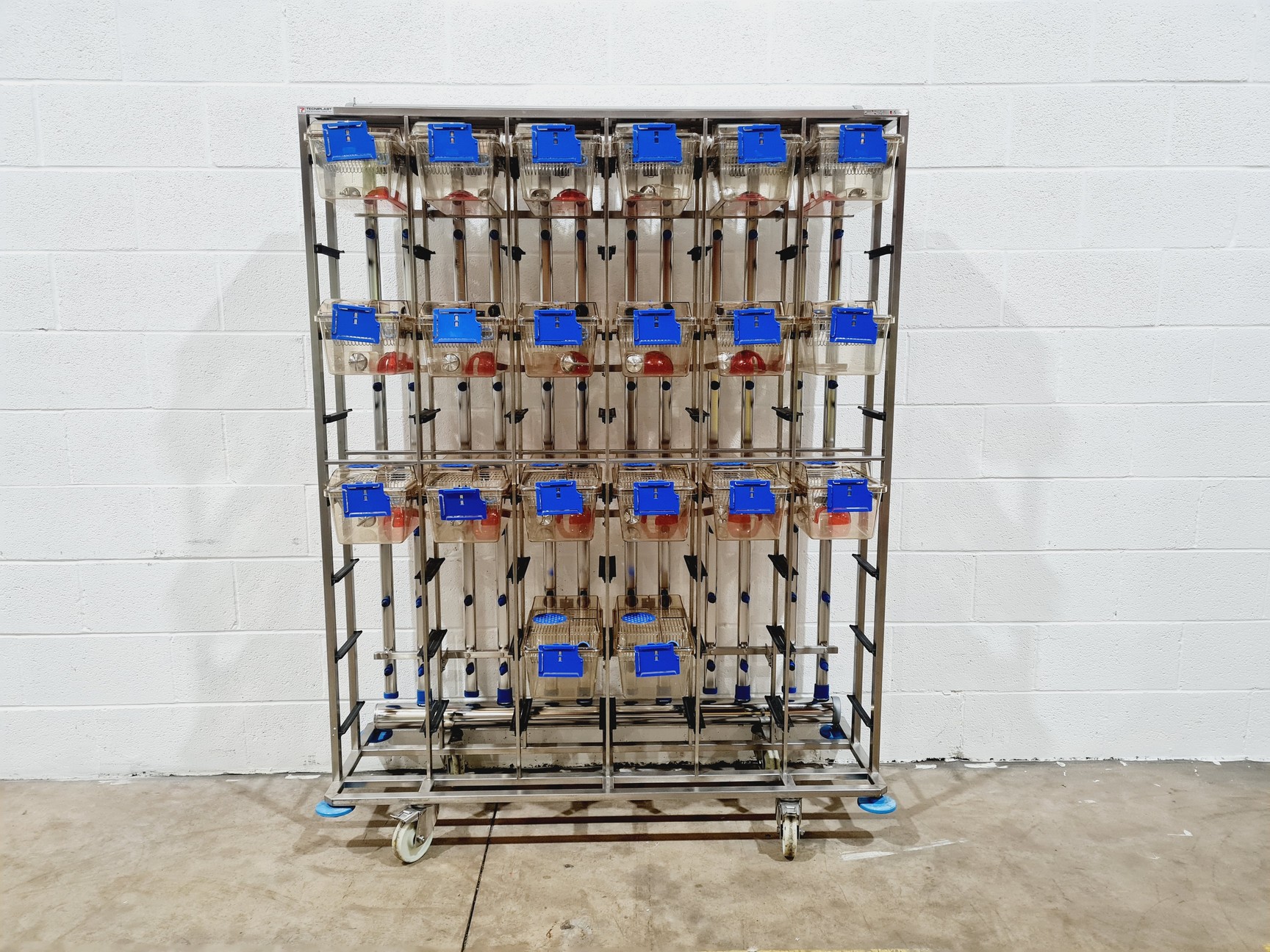Image of Techniplast Easyflow BOXUNEFUK 2 x Individually Ventilated Cage Racking 20 Cages