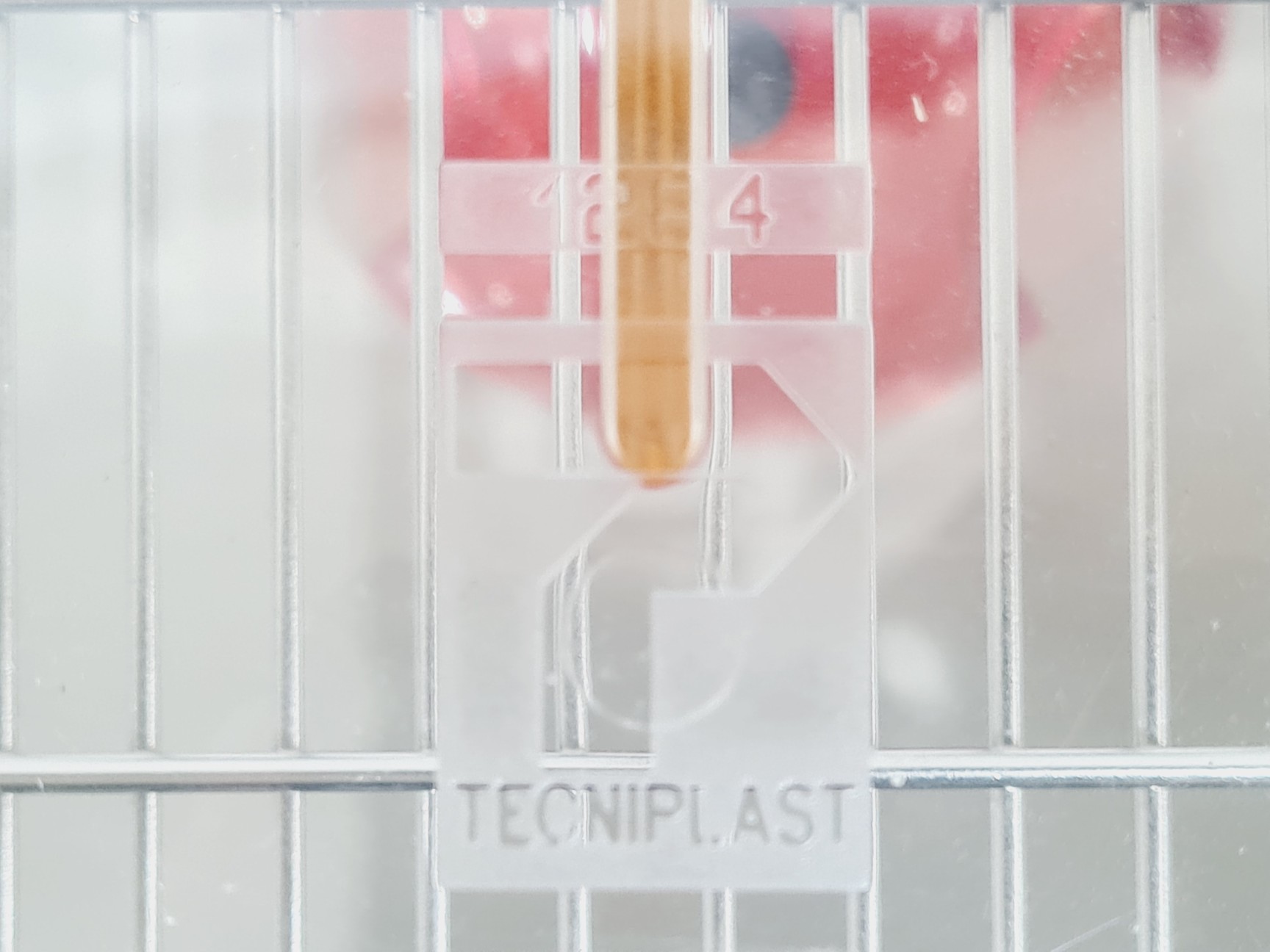 Image of Techniplast Easyflow BOXUNEFUK 2 x Individually Ventilated Cage Racking 20 Cages