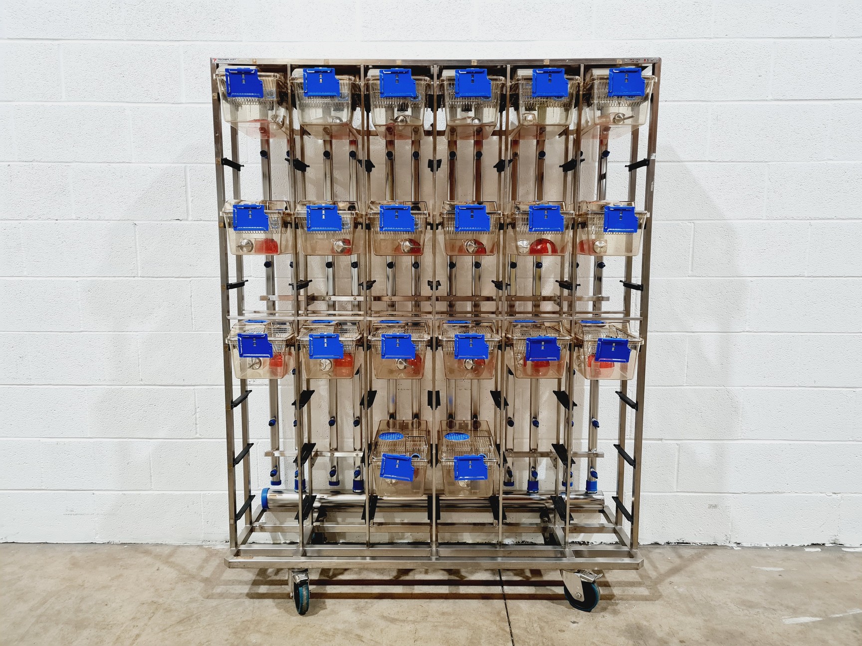 Image of Techniplast - BOXUNEFUK with 2 x Individually Ventilated Cage Rack