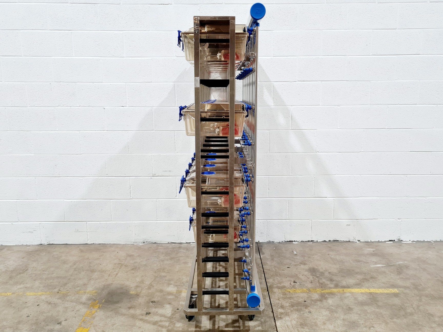 Image of Techniplast - BOXUNEFUK with 2 x Individually Ventilated Cage Rack