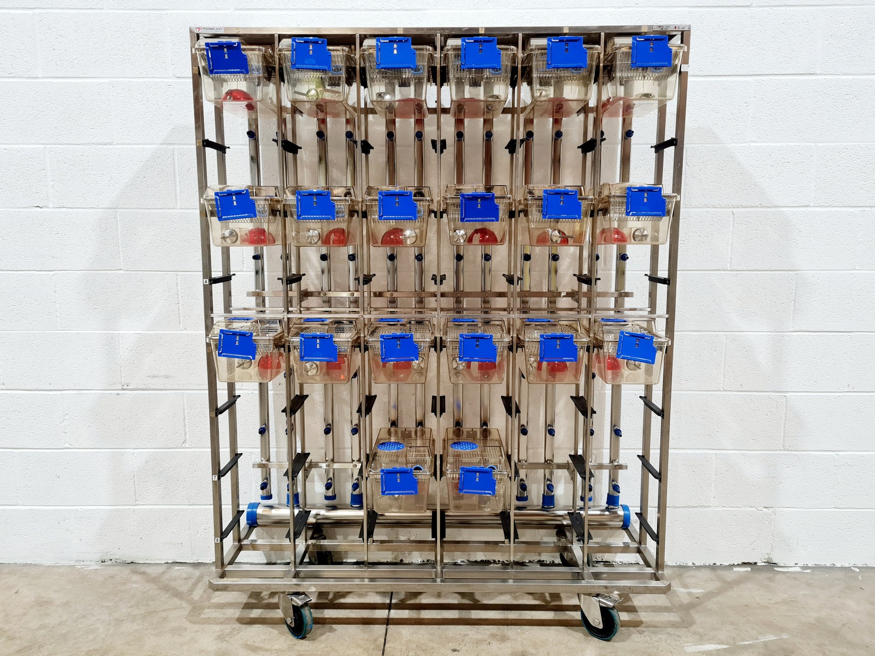Image of Techniplast - BOXUNEFUK with 2 x Individually Ventilated Cage Rack