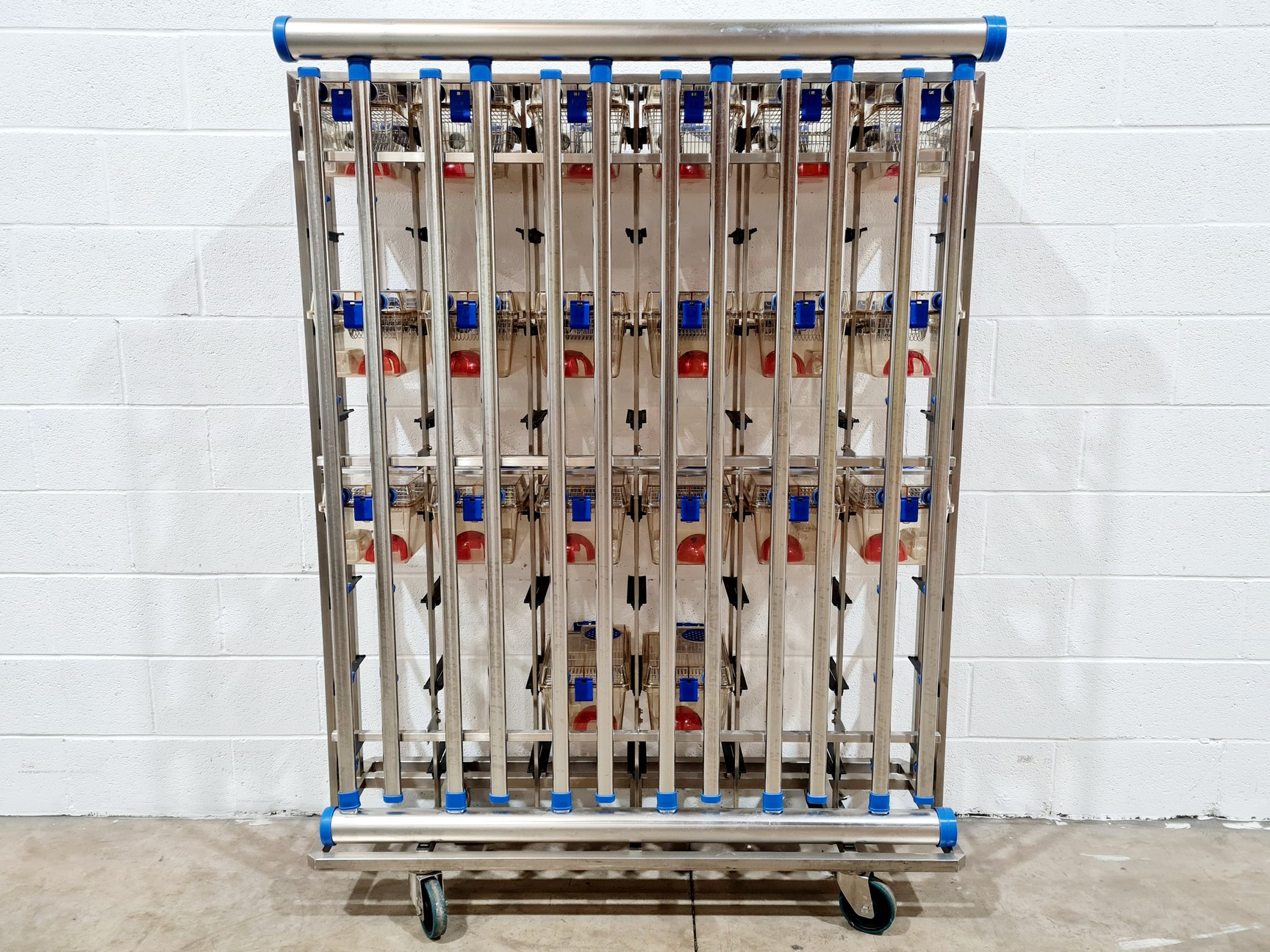 Image of Techniplast - BOXUNEFUK with 2 x Individually Ventilated Cage Rack