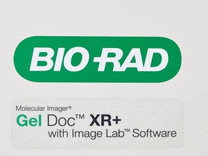Thumbnail image of Bio Rad Gel Doc XR+ Universal Hood II w/ Camera Lab