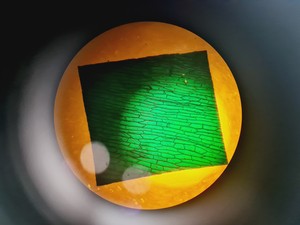 Thumbnail image of Leica DMR 020-525.028 Compound Microscope with 6 x Objectives