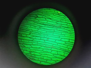 Thumbnail image of Leica DMR 020-525.028 Compound Microscope with 6 x Objectives