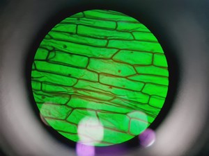 Thumbnail image of Leica DMR 020-525.028 Compound Microscope with 6 x Objectives