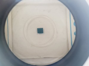 Thumbnail image of Leica M8 WILD Stereo Zoom Microscope