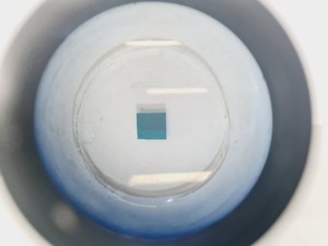 Thumbnail image of Leica M8 WILD Stereo Zoom Microscope
