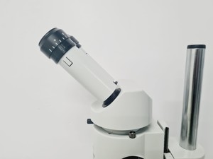 Thumbnail image of Leica M8 WILD Stereo Zoom Microscope