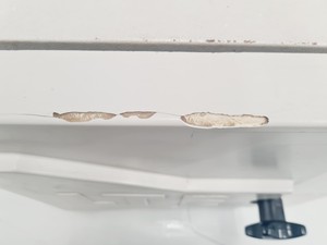 Thumbnail image of LTE Scientific Falcon 30 Benchtop Laboratory Autoclave Lab