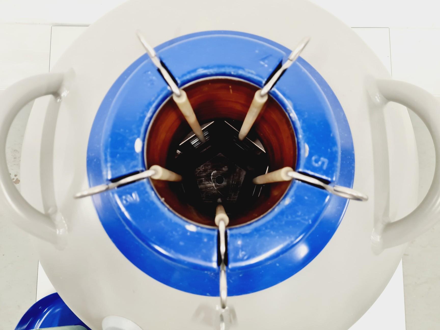 Image of Statebourne Biorack 750 Liquid Nitrogen Dewar Lab