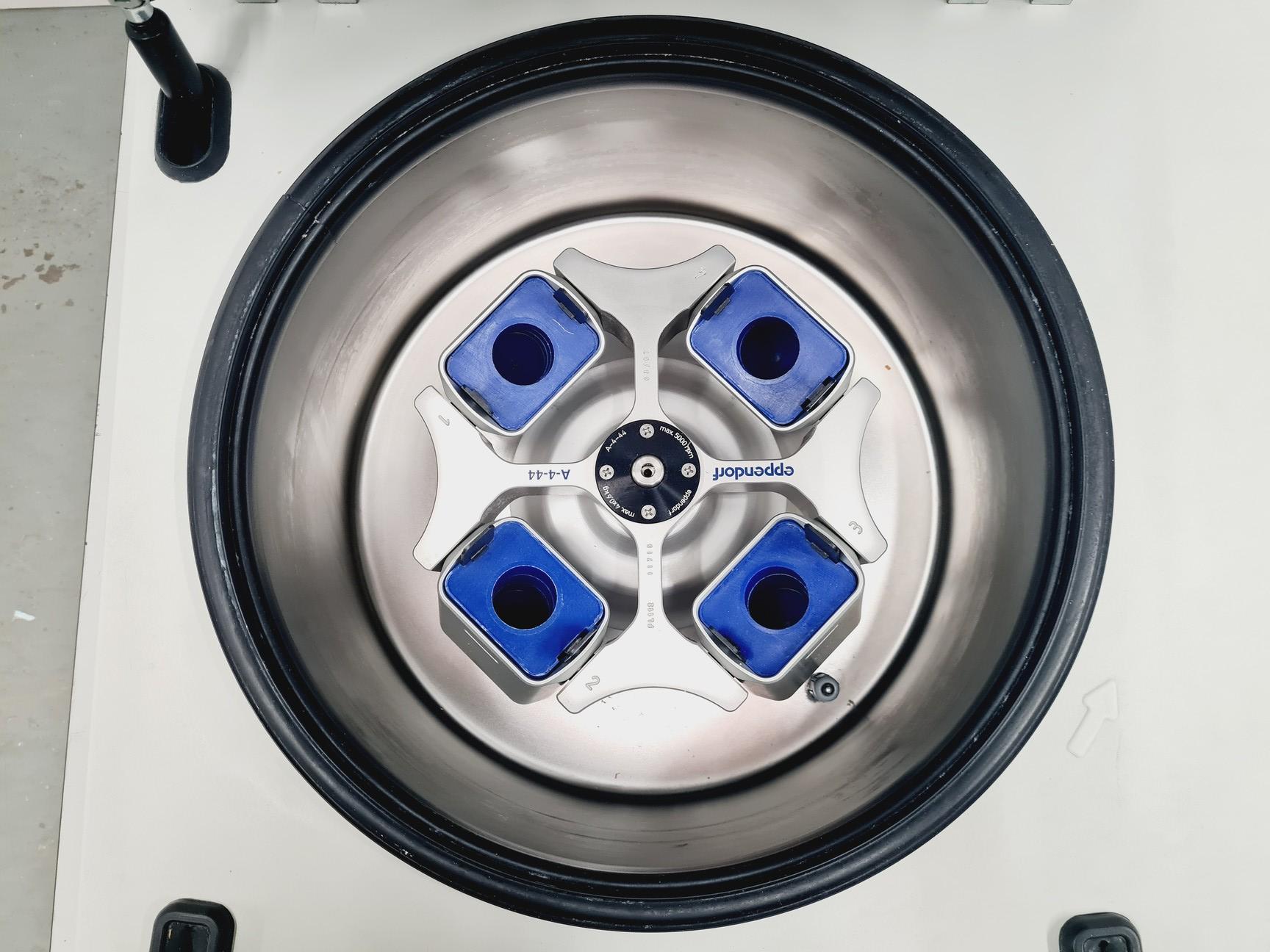 Image of Eppendorf Refrigerated Centrifuge 5804 R with Eppendorf A-4-44 Rotor