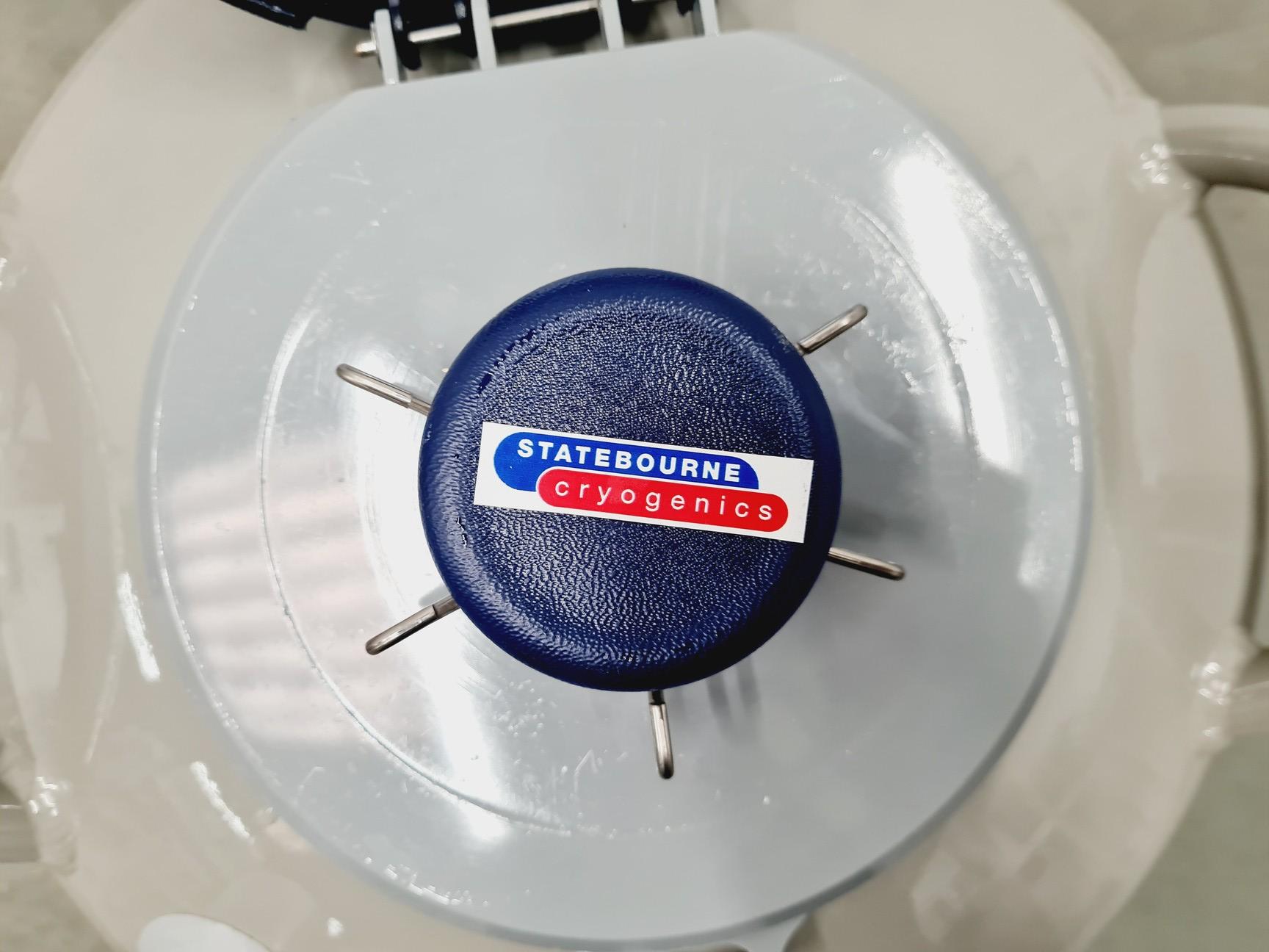 Image of Statebourne BIO 20 Liquid Nitrogen Dewar Lab