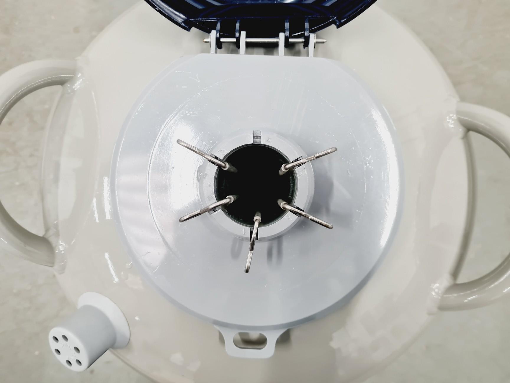 Image of Statebourne BIO 20 Liquid Nitrogen Dewar Lab