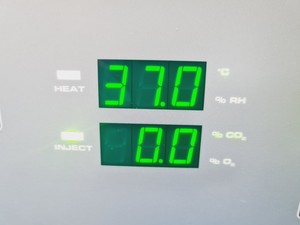 Thumbnail image of ESCO CCL-170T-8 CelCulture CO2 Incubator Lab