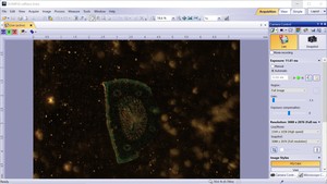 Thumbnail image of Olympus CKX53 Microscope with CoolLED pE-300 w/ 4 x Objectives 2/4/10/20x Lab