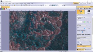 Thumbnail image of Olympus CKX53 Microscope with CoolLED pE-300 w/ 4 x Objectives 2/4/10/20x Lab