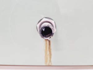Thumbnail image of Metaserve Universal Polisher C200/5A 200mm – Single Speed
