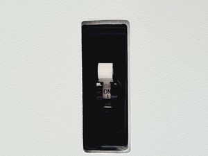 Thumbnail image of Leco TruMac CN Elemental Determinator System w Model 630-300-300 and 630-300-800