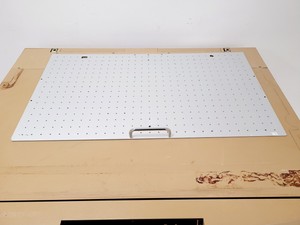 Thumbnail image of Infors HT Multitron Shaking Incubator