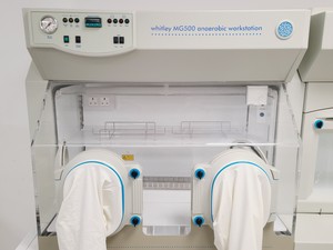 Thumbnail image of DW Whitley MG500 Anaerobic Workstation Glove Box