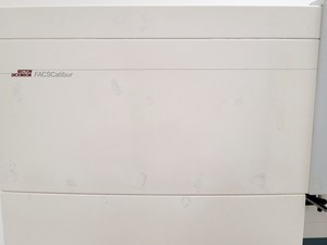 Thumbnail image of BD FACScalibur Flow Cytometer