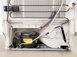 Thumbnail image of Hotpoint RZA34P Freezer