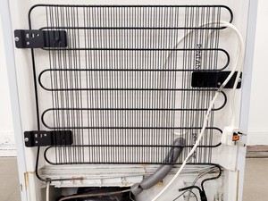 Thumbnail image of Hotpoint RZA34P Freezer