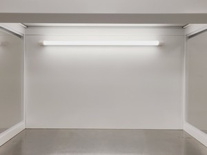 Thumbnail image of Cleanrooms Laminar Flow Hood w/ Stainless Steel Table