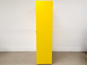 Thumbnail image of Yellow Solvent Cabinet Chemical Storage
