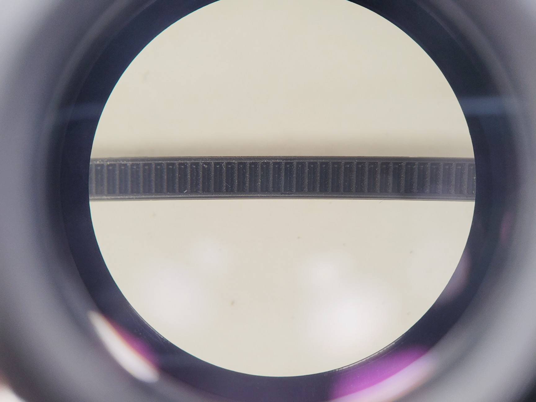 Image of Nikon SMZ800 Stereo Microscope