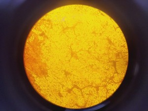 Thumbnail image of Olympus IMT-2 Inverted Microscope w/ 6 x Objectives OCDPLan, SPlan, LWD