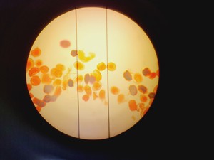 Thumbnail image of Buehler Micromet 5104 Hardness Tester w/ 3 x Objectives M50,M10 & M20 