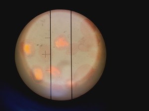 Thumbnail image of Buehler Micromet 5104 Hardness Tester w/ 3 x Objectives M50,M10 & M20 