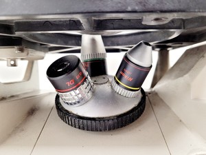 Thumbnail image of Nikon TMS Inverted Microscope w/ 3 x Objectives 