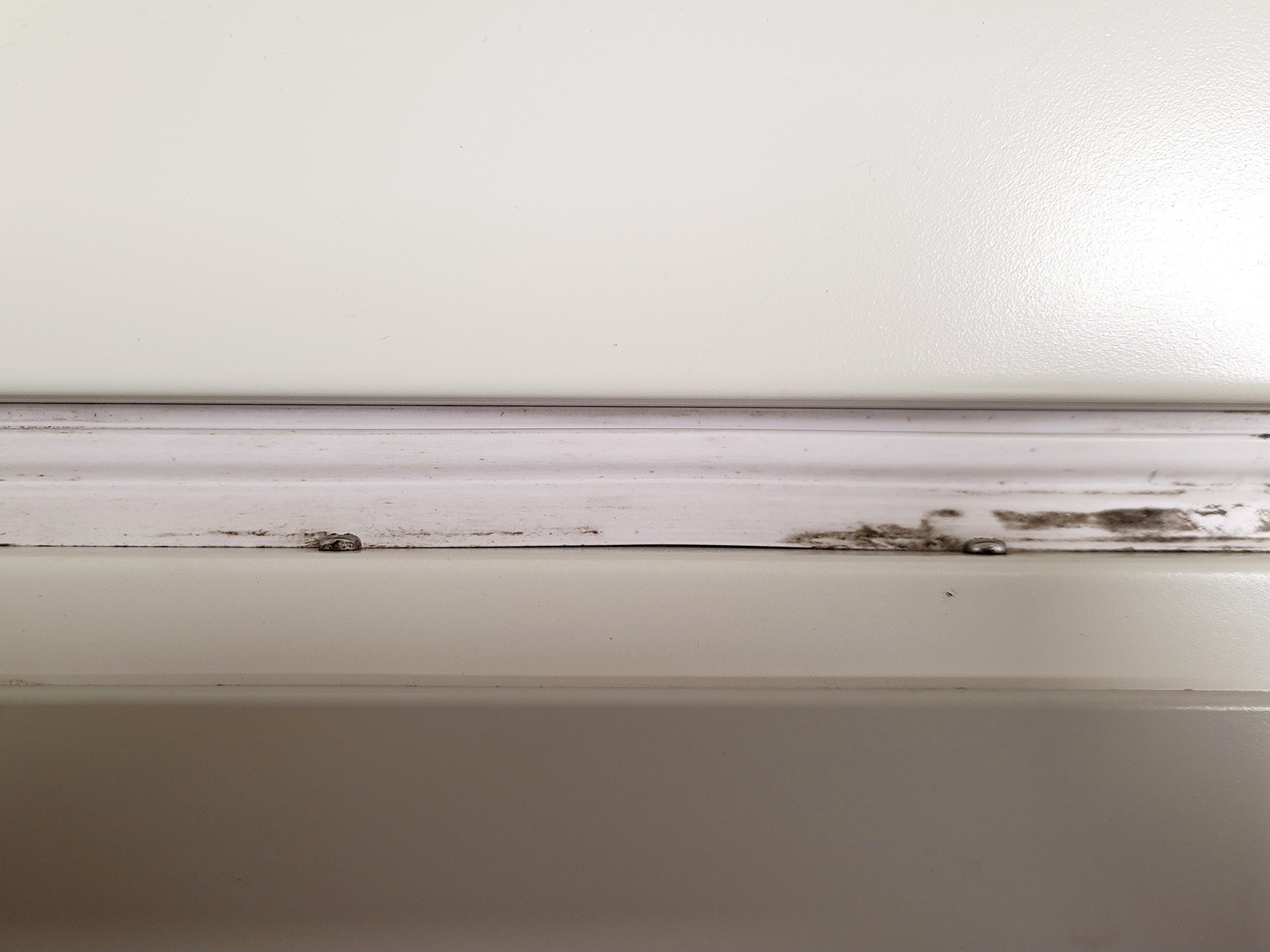 Image of Sanyo MCO-19AIC (UV) CO2 Incubator