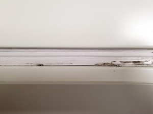 Thumbnail image of Sanyo MCO-19AIC (UV) CO2 Incubator