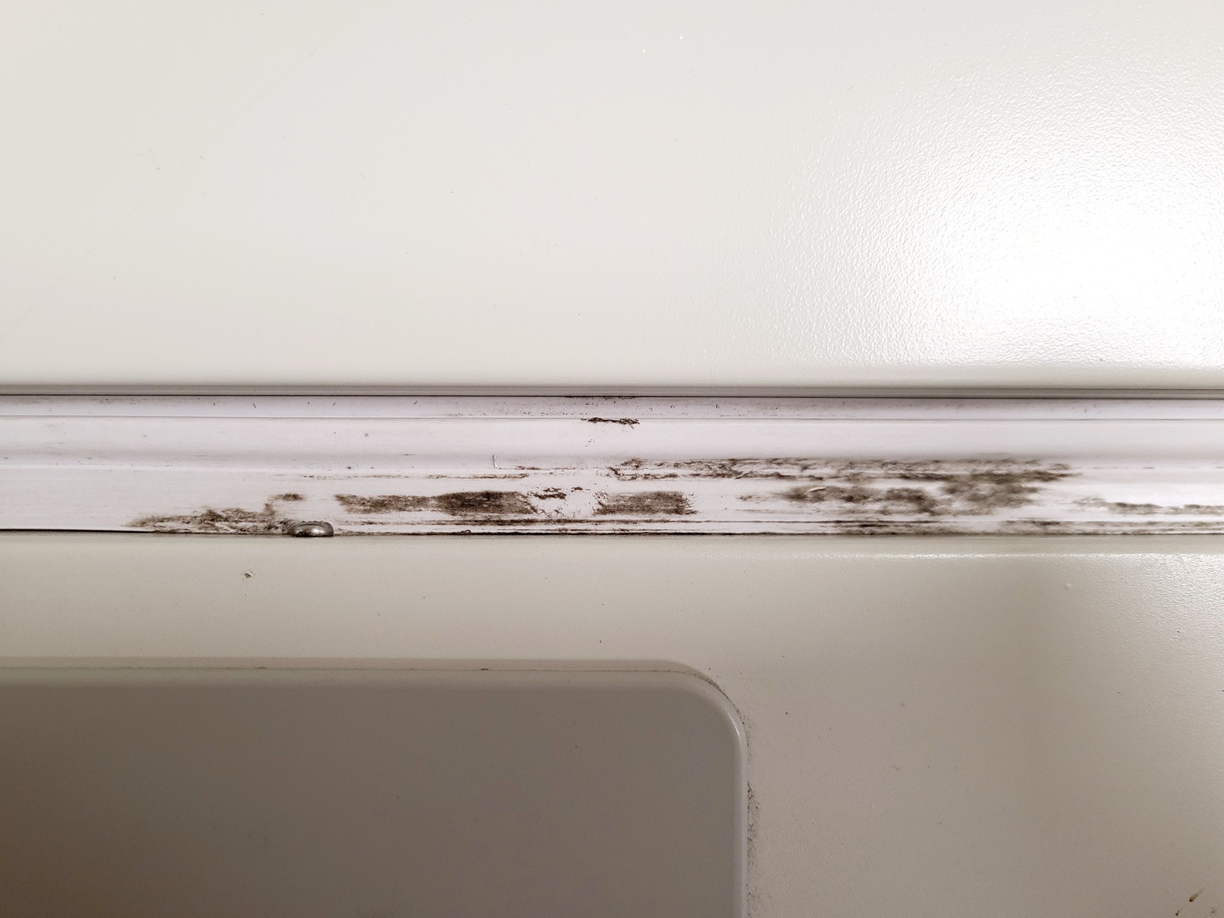 Image of Sanyo MCO-19AIC (UV) CO2 Incubator