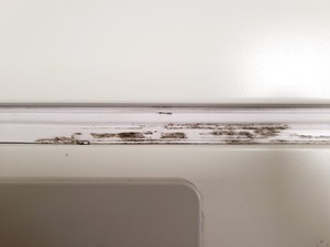 Thumbnail image of Sanyo MCO-19AIC (UV) CO2 Incubator