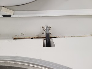 Thumbnail image of Thermo Scientific 7405 CryoPlus 3 Storage System 340L