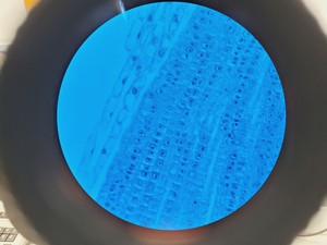 Thumbnail image of Nikon TE2000E Inverted Microscope Cameras, Fluorescence & Vibration Isolation