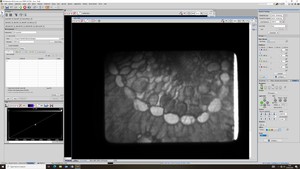 Thumbnail image of Nikon Eclipse Ti/VT-iSIM Confocal Microscope System w/ PC & Software Lab