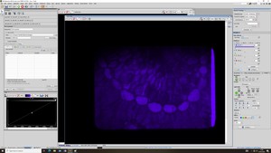 Thumbnail image of Nikon Eclipse Ti/VT-iSIM Confocal Microscope System w/ PC & Software Lab