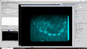 Thumbnail image of Nikon Eclipse Ti/VT-iSIM Confocal Microscope System w/ PC & Software Lab